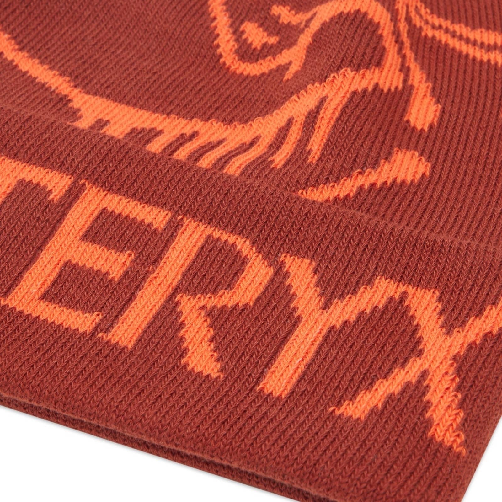Arc'teryx Bird Word Toque