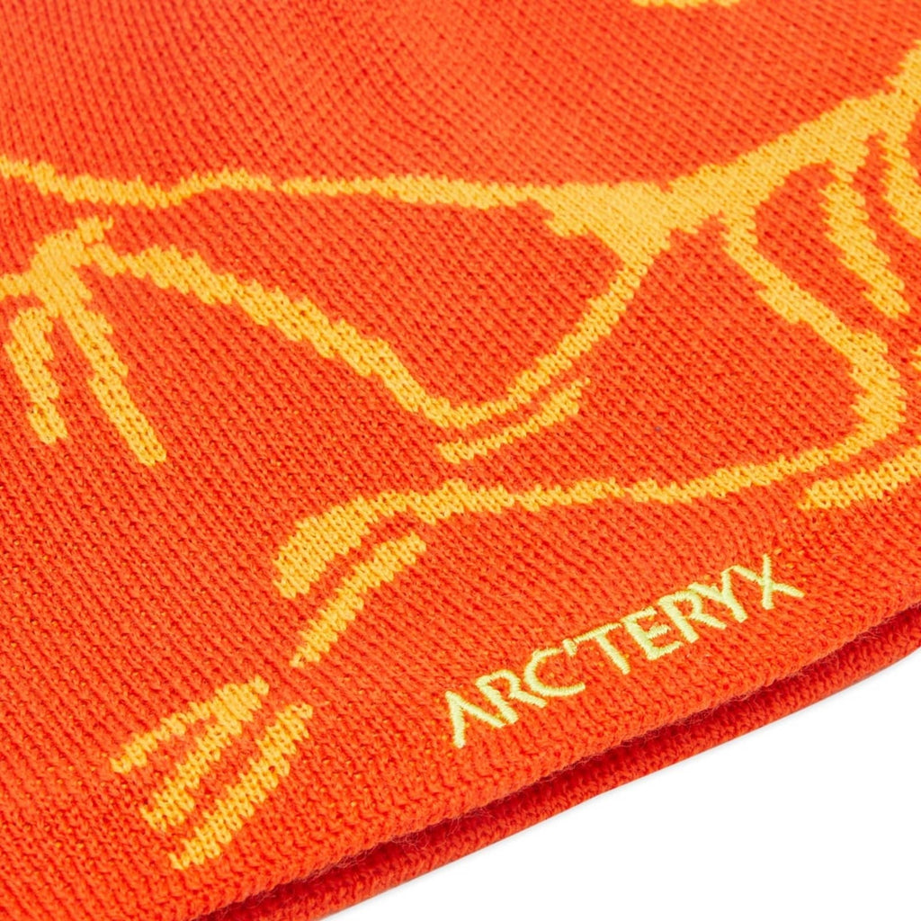 Arc'teryx Bird Head Toque