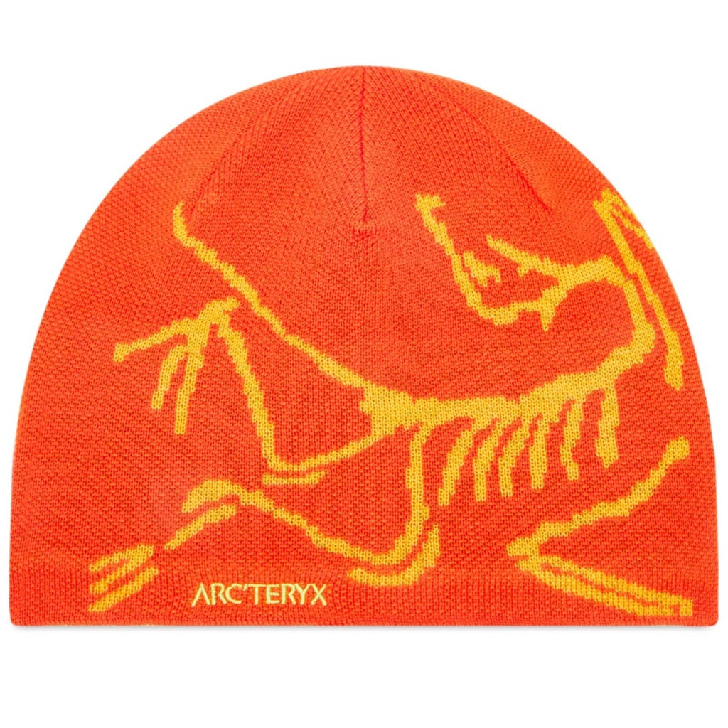 Arc'teryx Bird Head Toque