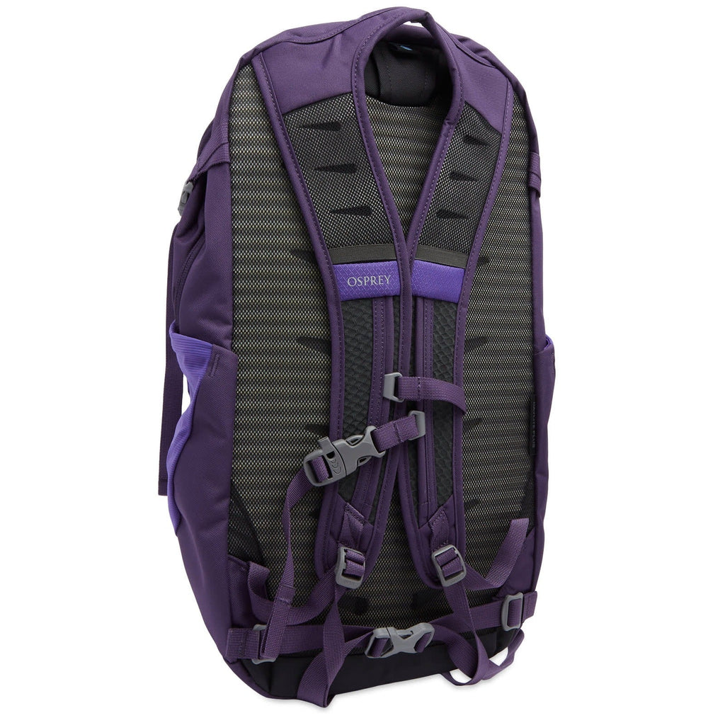 Osprey Daylite Plus Backpack - Dream Purple