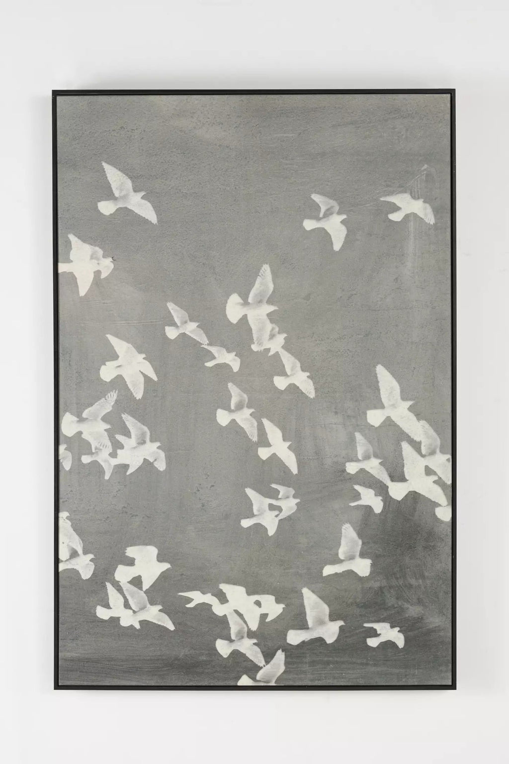 Flight Wall Art