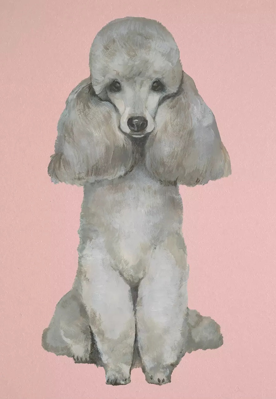 Poodle Dog Wall Art