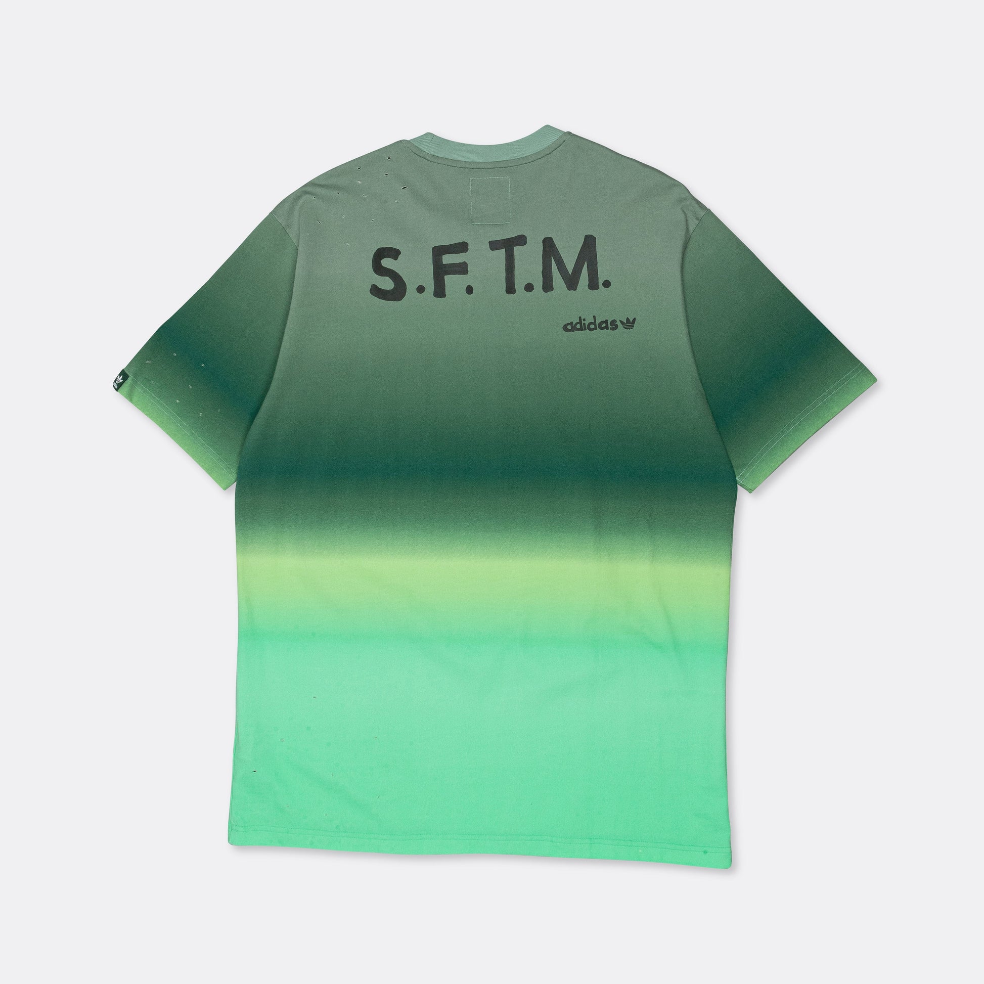 SFTM Tee 1 - Hazy Green/Tech Forest