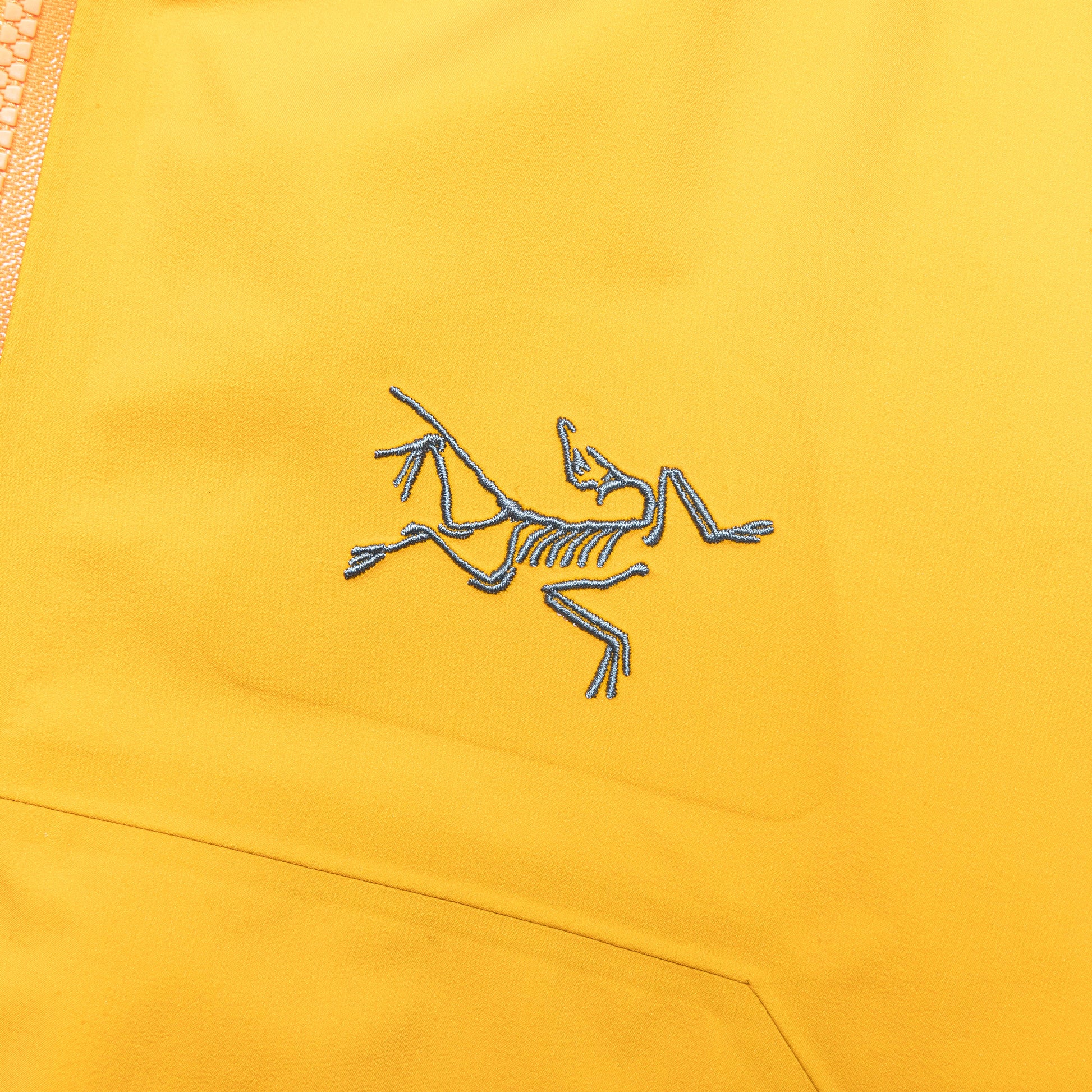 Beta Jacket GORE-TEX® - Edziza