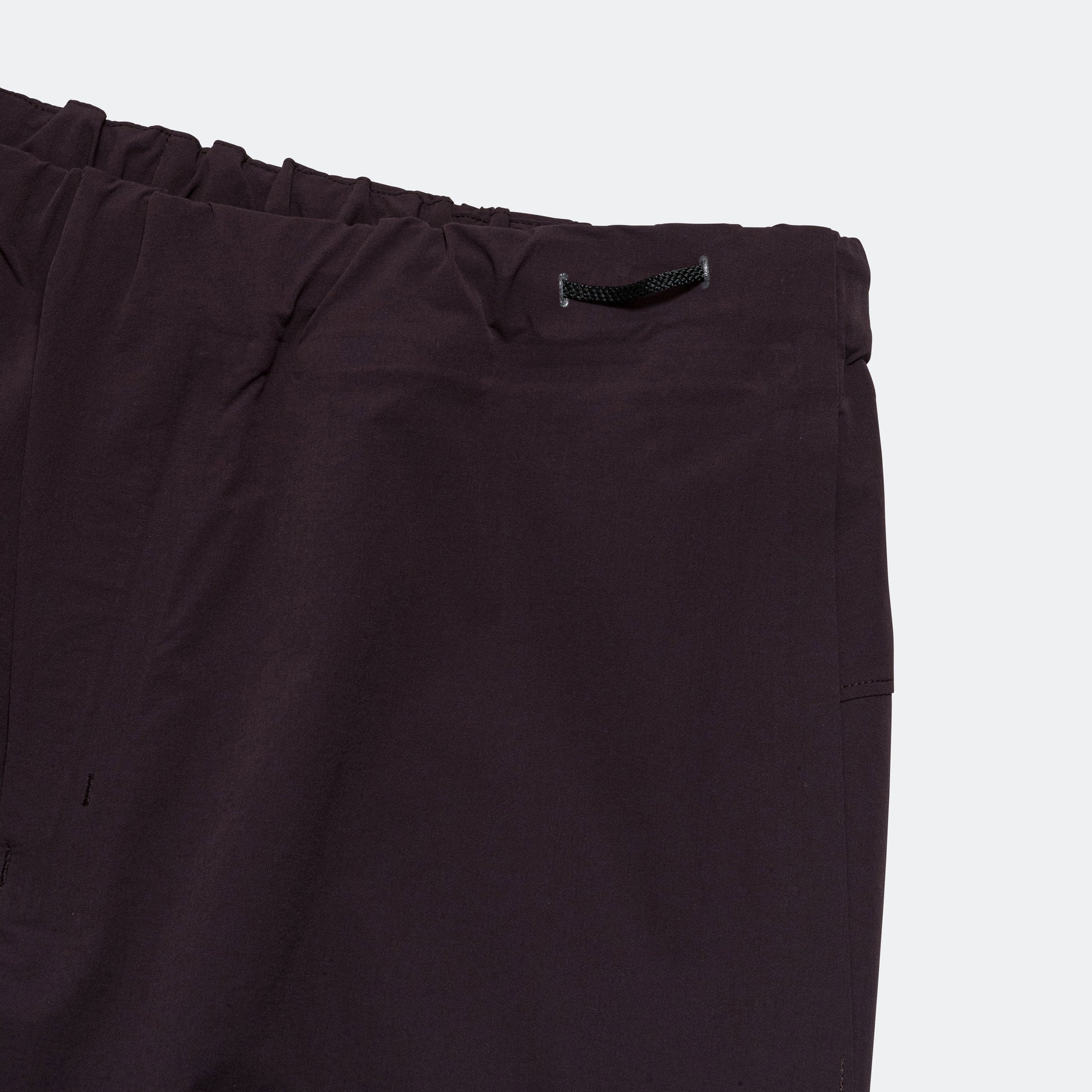 Paltz Cargo Pant - Polaris