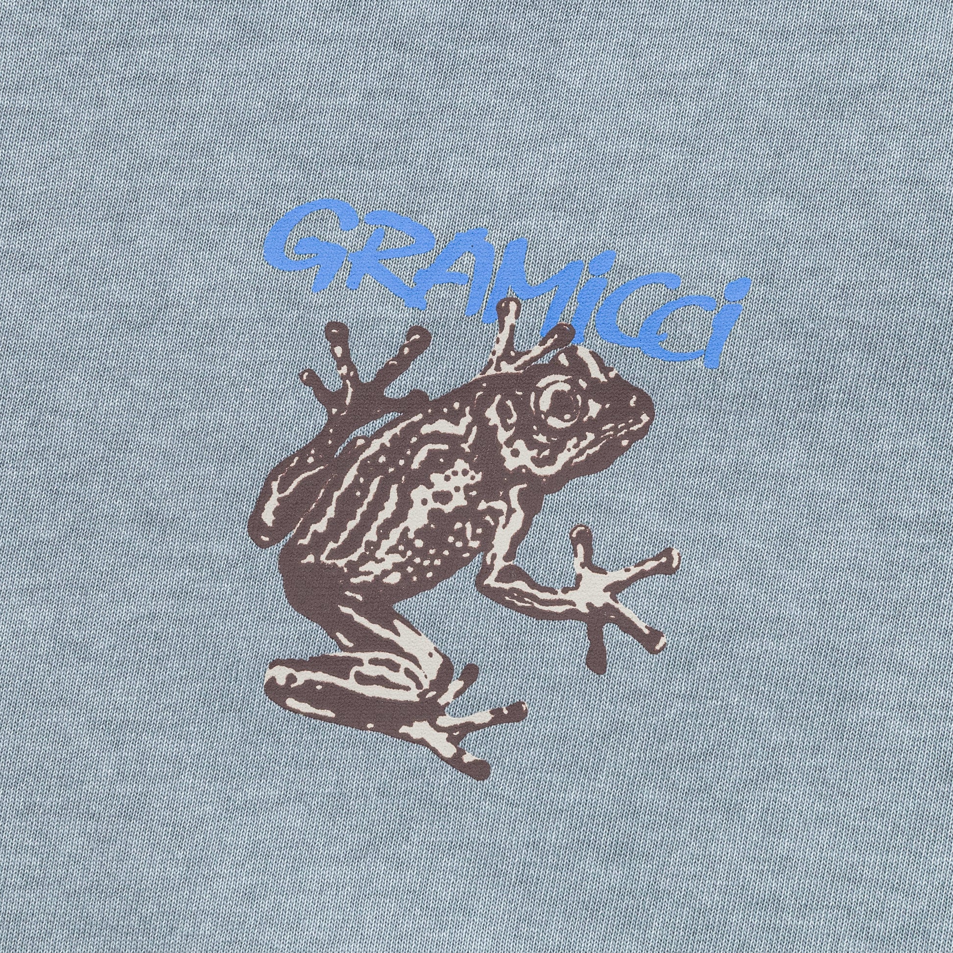 Sticky Frog Tee - Slate Pigment