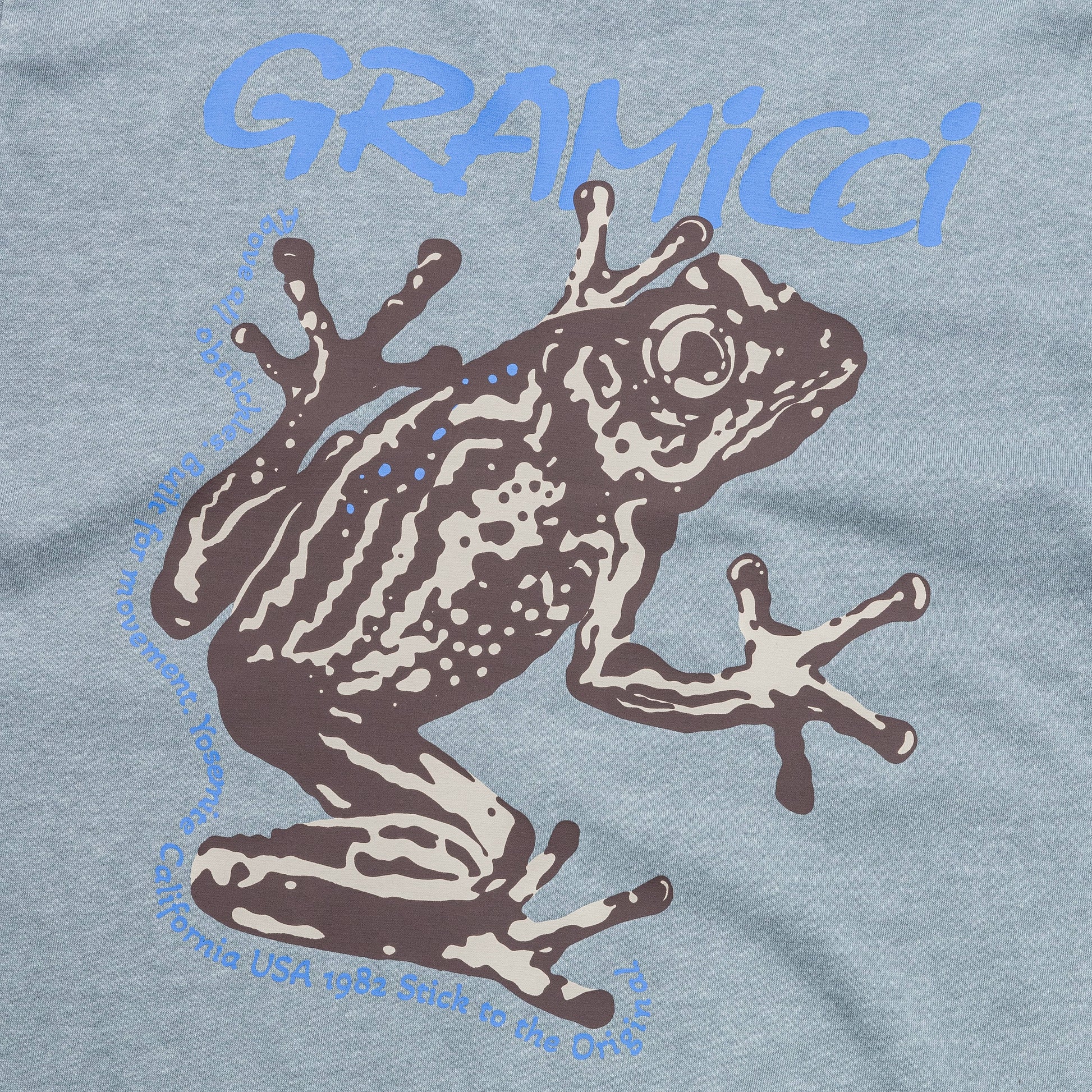 Sticky Frog Tee - Slate Pigment