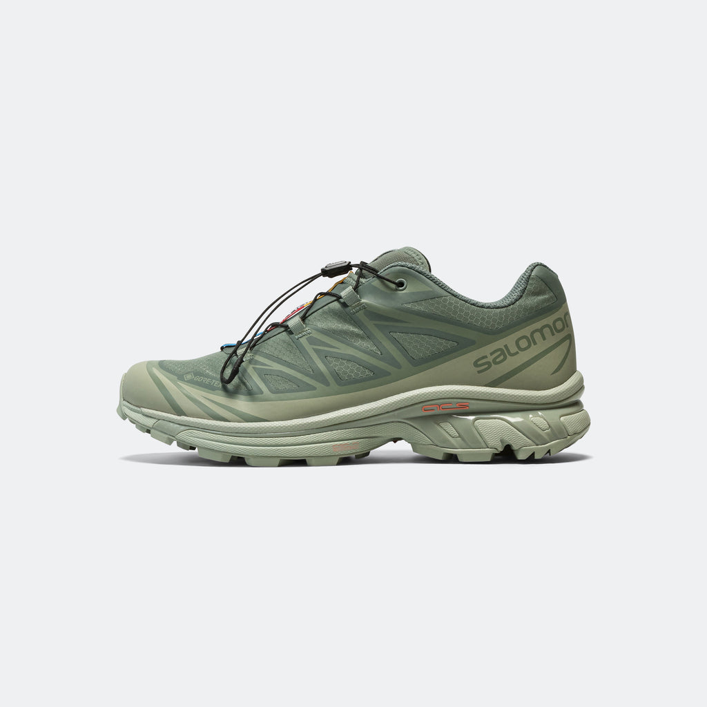XT-6 GORE-TEX® - Desert Sage/Lily Pad-Laurel Wreath