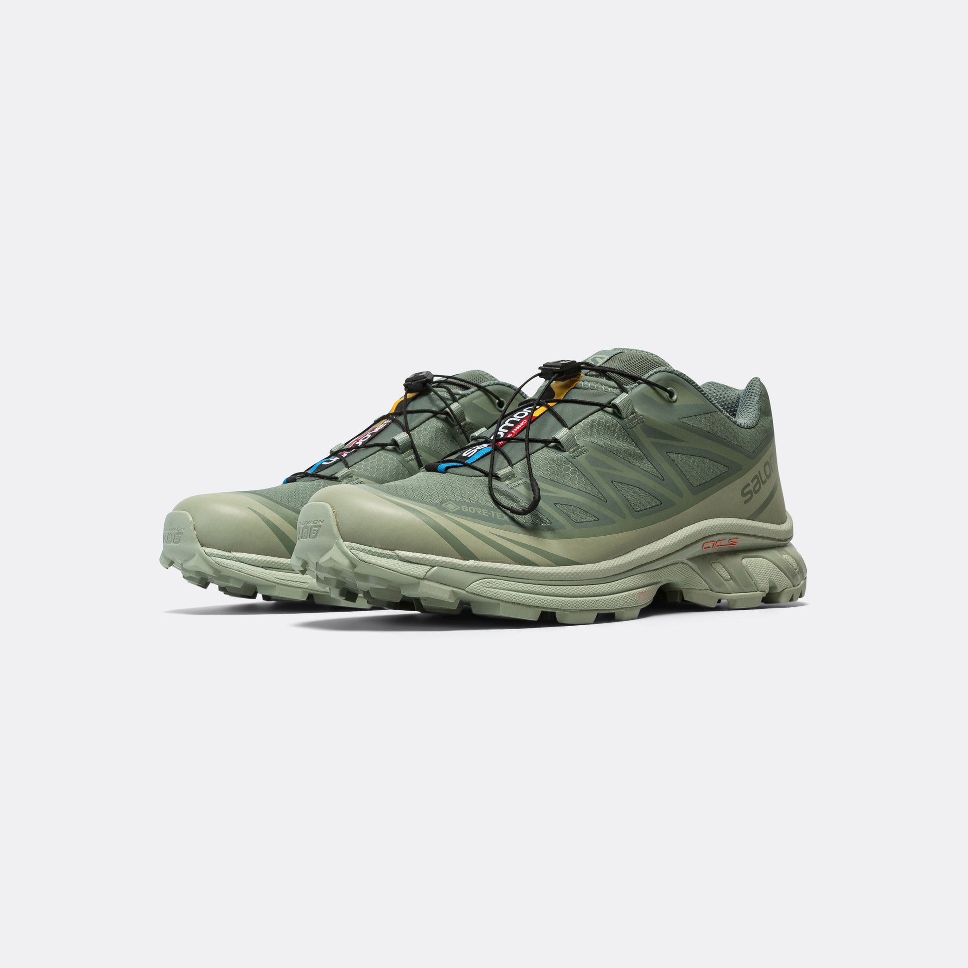 XT-6 GORE-TEX® - Desert Sage/Lily Pad-Laurel Wreath