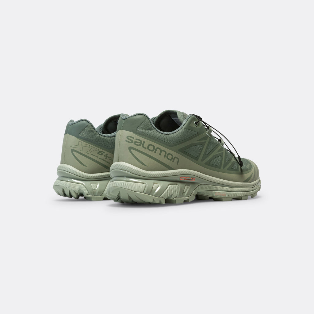 XT-6 GORE-TEX® - Desert Sage/Lily Pad-Laurel Wreath