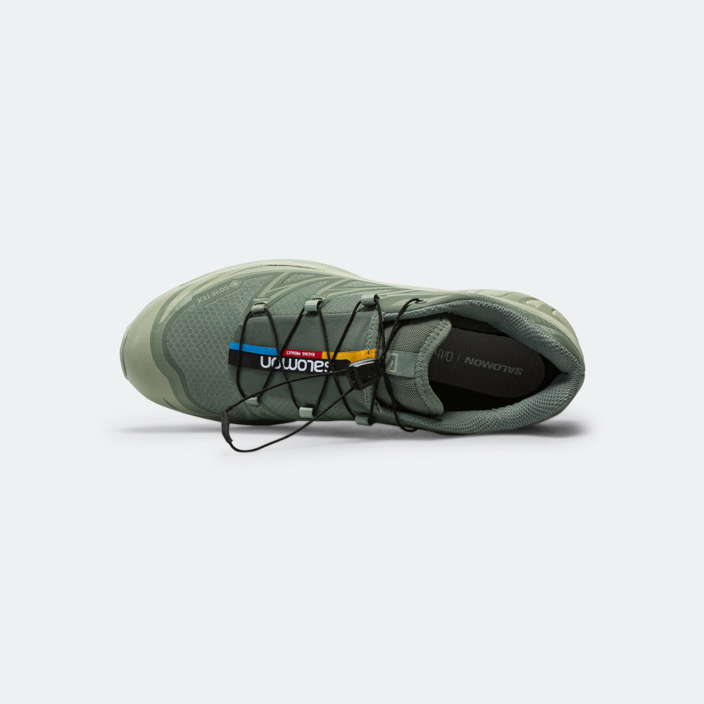 XT-6 GORE-TEX® - Desert Sage/Lily Pad-Laurel Wreath