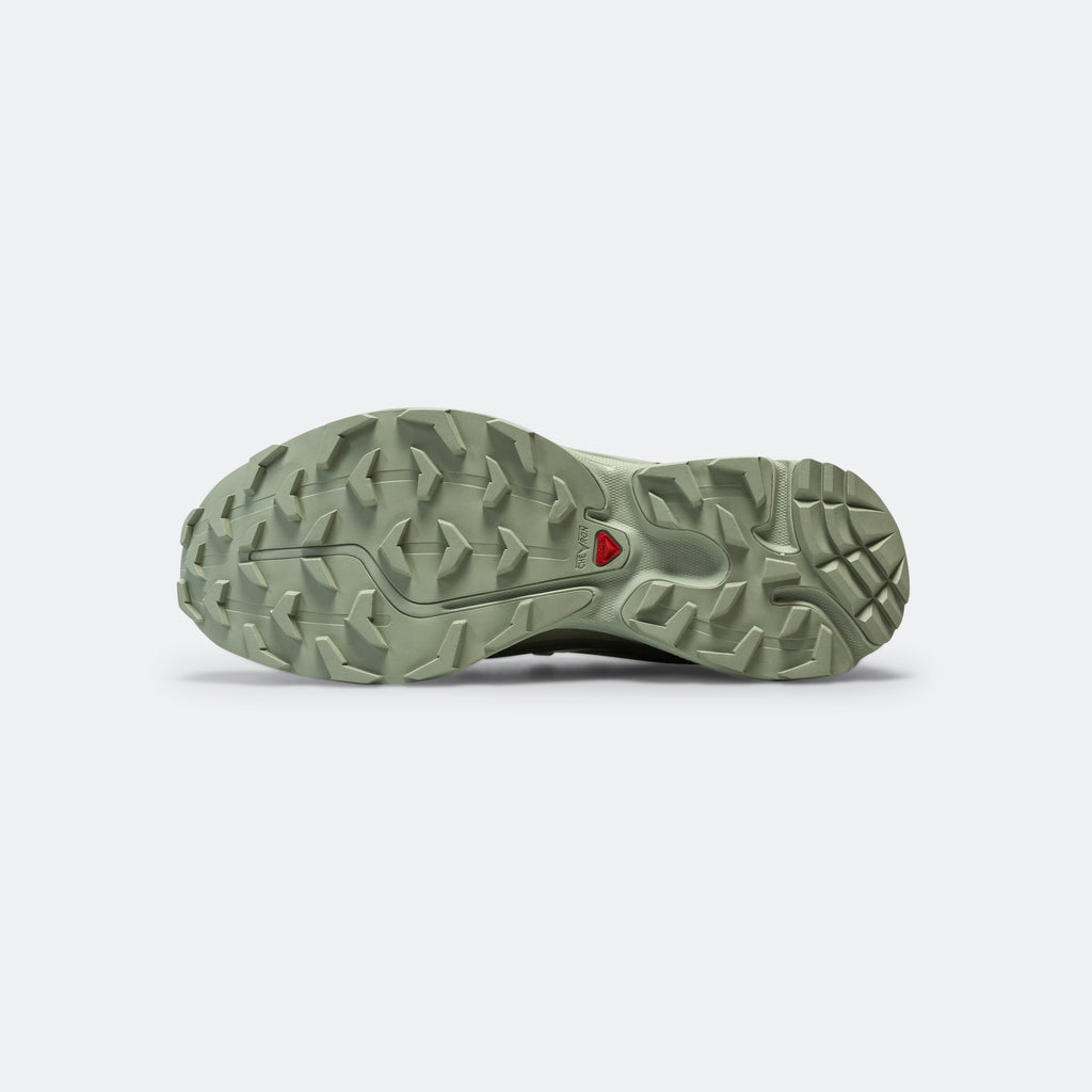 XT-6 GORE-TEX® - Desert Sage/Lily Pad-Laurel Wreath